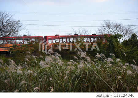 京都:秋の嵯峨野トロッコ列車とススキ 京都:秋の嵯峨野トロッコ列車とススキ 118124346