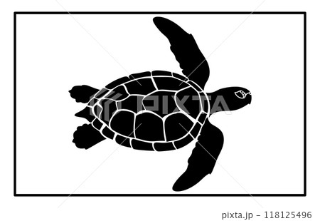 Sea turtle silhouette, Animal in black and white, Detailed Sea Turtle Silhouette 118125496