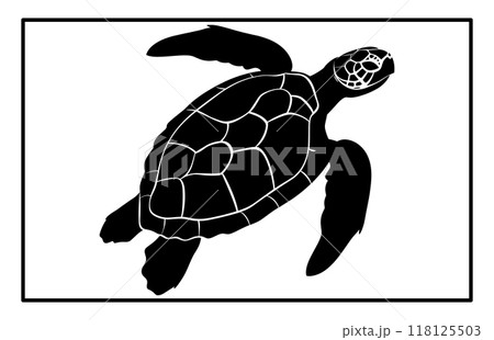 Sea turtle silhouette, Animal in black and white, Detailed Sea Turtle Silhouette 118125503