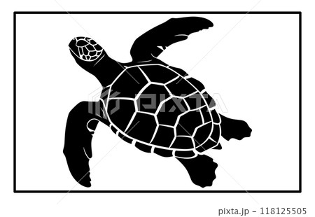 Sea turtle silhouette, Animal in black and white, Detailed Sea Turtle Silhouette 118125505
