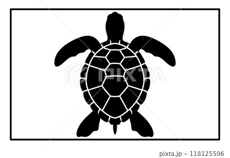 Sea turtle silhouette, Animal in black and white, Detailed Sea Turtle Silhouette 118125506