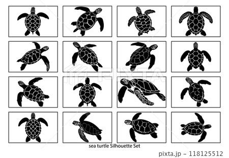 Sea turtle silhouette, Animal in black and white, Detailed Sea Turtle Silhouette Sea turtle silhouette, Animal in black and white, Detailed Sea Turtle Silhouette 118125512