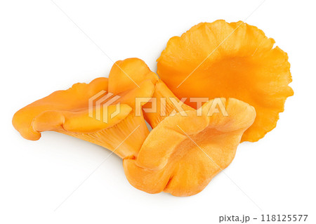 Chanterelle mushroom isolated on a white background. Top view. Flat lay 118125577