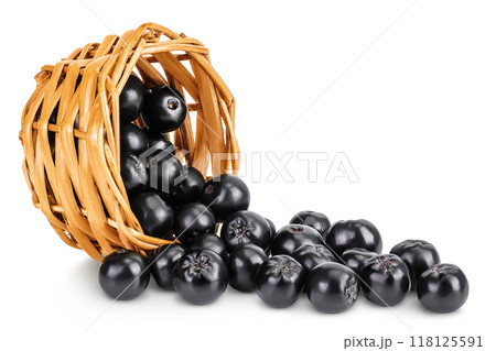 Chokeberry in a wicker basket isolated on white background. Black aronia. Chokeberry in a wicker basket isolated on white background. Black aronia. 118125591
