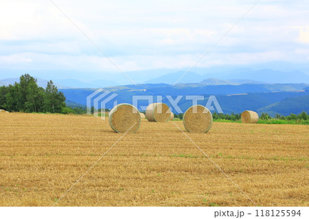 就実の丘 麦稈ロールが置かれた広大な丘陵の小麦畑 就実の丘 麦稈ロールが置かれた広大な丘陵の小麦畑 118125594