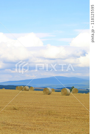 就実の丘　麦稈ロールが置かれた広大な丘陵の小麦畑 118125595