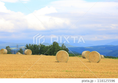 就実の丘　麦稈ロールが置かれた広大な丘陵の小麦畑 118125596