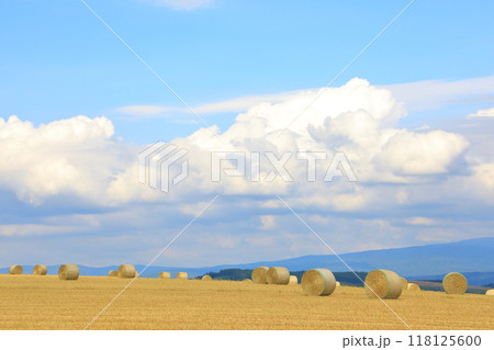 就実の丘 麦稈ロールが置かれた広大な丘陵の小麦畑 就実の丘 麦稈ロールが置かれた広大な丘陵の小麦畑 118125600
