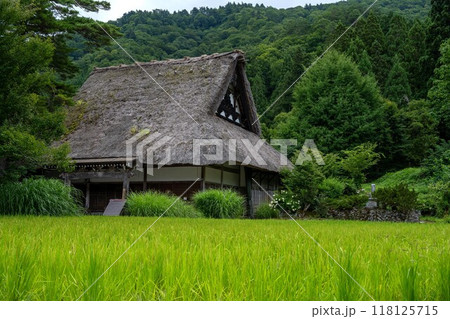 夏の白川郷／岐阜県 118125715