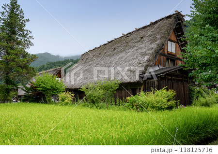 夏の白川郷／岐阜県 118125716