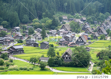 夏の白川郷の眺望/岐阜県 夏の白川郷の眺望/岐阜県 118125799