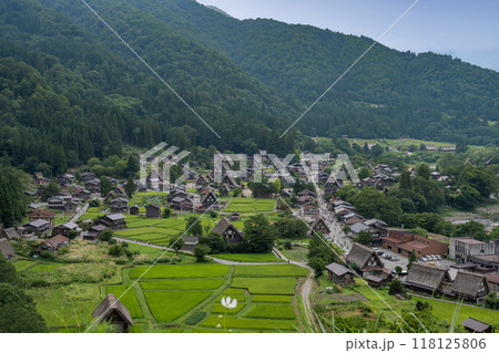 夏の白川郷／岐阜県 118125806
