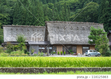 夏の白川郷/岐阜県 夏の白川郷/岐阜県 118125863