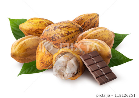 Yellow and halved ripe cocoa fruits are used to make chocolate isolated on a white background Yellow and halved ripe cocoa fruits are used to make chocolate isolated on a white background 118126251