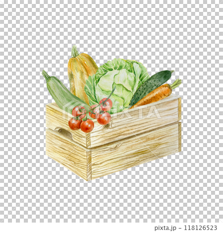 Wooden box with vegetables watercolor. Cabbage, pumpkin, zucchini, cucumber, tomatoes. Illustration isolated. Labels, cookbooks, recipes for preserves, postcards for Harvest and Vegetarian Day. 118126523