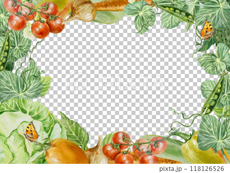 Autumn vegetable frame watercolor, horizontal. Cabbage, peppers, tomatoes, peas, carrots, onions. Hand drawn illustration isolated on white. For labels, packages, postcards, cookbooks, recipes. 118126526