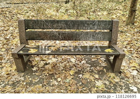 Autumn - bench in autumn park. Bench in autumn park 118126695