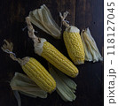 corn cobs in dark wooden background. 118127045