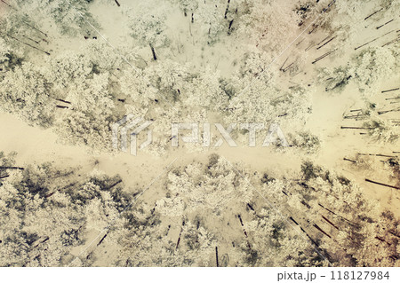 Winter road in snow covered forest, aerial view. Estonia. 118127984