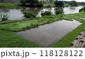 台風一過の河川敷1 118128122