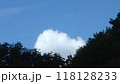 屋に舞の白い雲 118128233