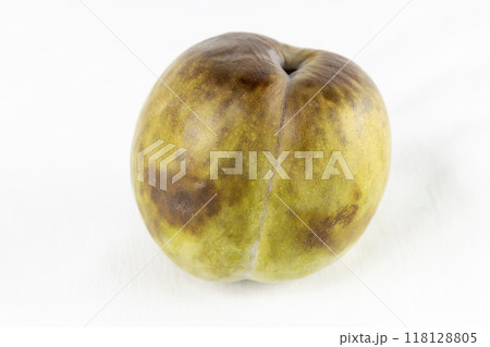 白背景で撮影したスモモ（ソルダム）1個 118128805