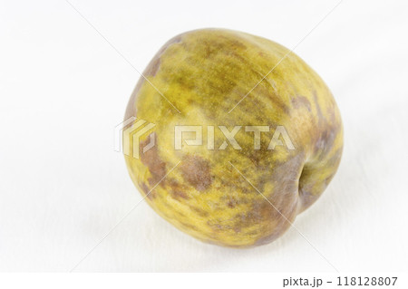 白背景で撮影したスモモ（ソルダム）1個 118128807