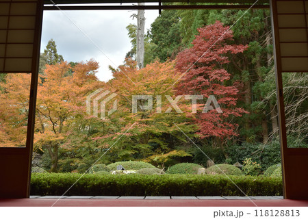 秋の雲龍院　大輪の間から見る庭園中庭 118128813