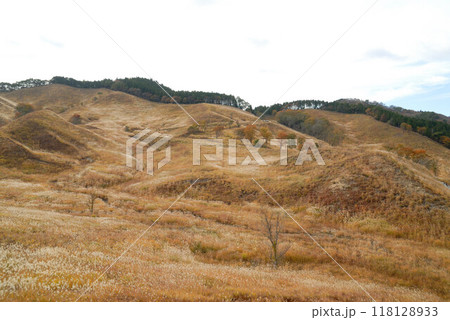 草原一面に広がるススキの穂と紅葉する山 118128933