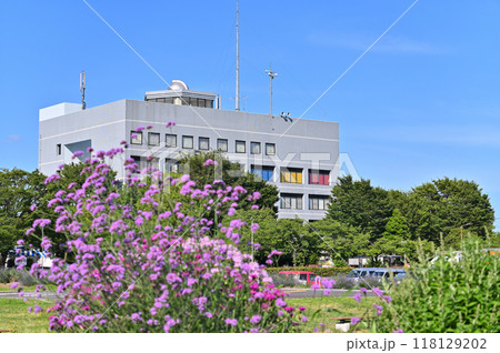 満開のラベンダー (埼玉県・久喜市・菖蒲町) 満開のラベンダー (埼玉県・久喜市・菖蒲町) 118129202