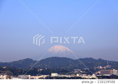 横須賀海岸通りより見た富士山 横須賀海岸通りより見た富士山 118129588
