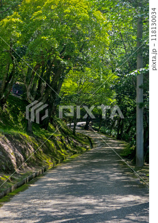 兵庫・篠山 王地山公園 まけきらいの道 118130034