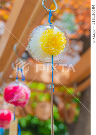 東京　法輪寺の風景 118130594