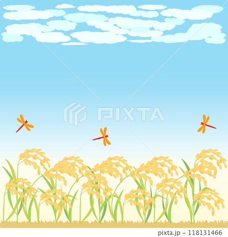 青空と稲・稲穂の秋の背景イラスト アスペクト比1:1バージョン 青空と稲・稲穂の秋の背景イラスト アスペクト比1:1バージョン 118131466