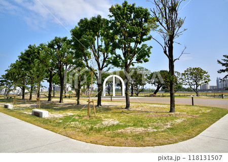 九州大学箱崎キャンパス跡地　移転後の九州大学跡地風景 118131507