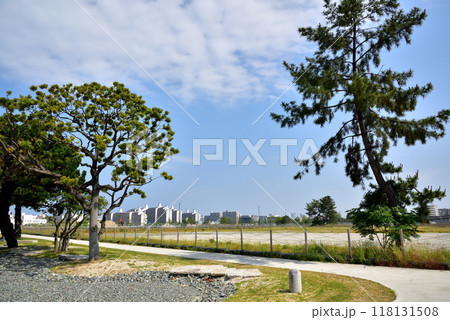 九州大学箱崎キャンパス跡地 移転後の九州大学跡地風景 九州大学箱崎キャンパス跡地 移転後の九州大学跡地風景 118131508
