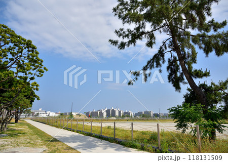 九州大学箱崎キャンパス跡地　移転後の九州大学跡地風景 118131509