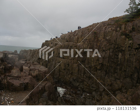 福井県・東尋坊 118131536