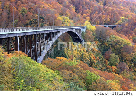 紅葉の城ヶ倉大橋 紅葉の城ヶ倉大橋 118131945