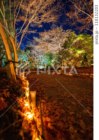 宝厳院の紅葉ライトアップ 宝厳院の紅葉ライトアップ 118132203
