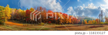 Vibrant Autumn Forest Landscape with Foliage 118133127