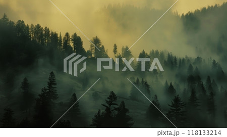 A misty forest with trees and a foggy sky A misty forest with trees and a foggy sky 118133214