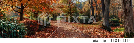 Autumn Park Path with Vibrant Foliage Autumn Park Path with Vibrant Foliage 118133315