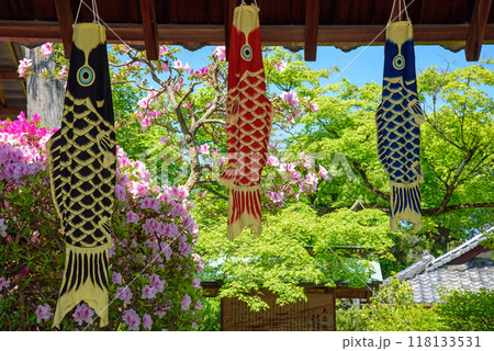 子供の日の鯉のぼり 118133531