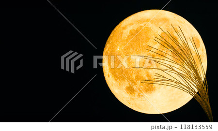 満月とススキ　お月見や十五夜のイメージ素材 118133559