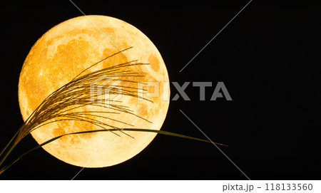 満月とススキ お月見や十五夜のイメージ素材 満月とススキ お月見や十五夜のイメージ素材 118133560