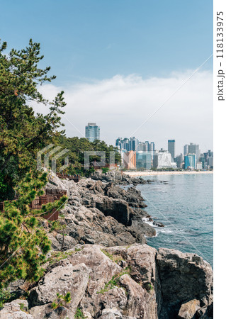 View of Dongbaekseom island and Haeundae Beach in Busan, Korea 118133975