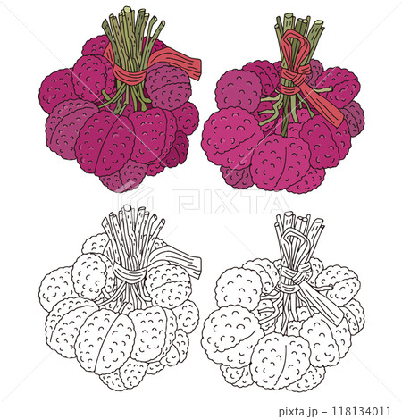 台湾_ライチ 台湾_ライチ 118134011