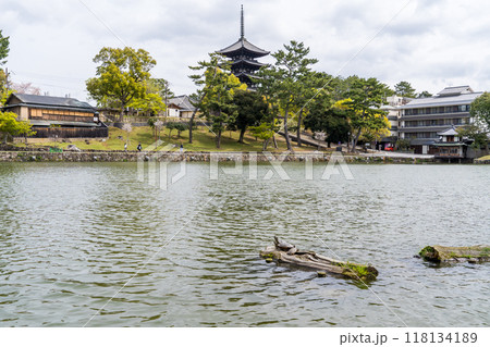 奈良公園の猿沢池と興福寺の五重塔 奈良公園の猿沢池と興福寺の五重塔 118134189