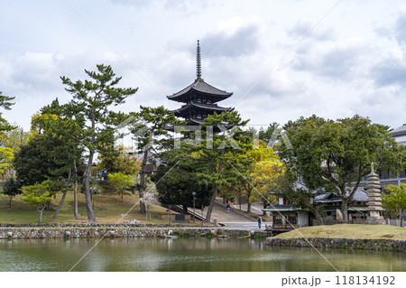 奈良公園の猿沢池と興福寺の五重塔 118134192